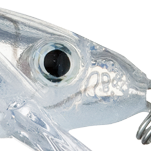 Glass Minnow