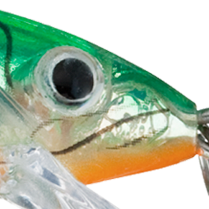 Glass Perch