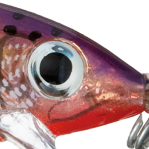 Glass Purple Sunfire
