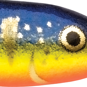 Glow Hot Perch