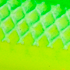 Glow Kelly Green Yellow