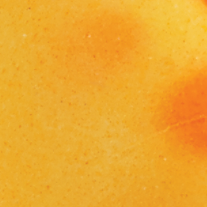 Glow Peach/Flo Dots/Slvr Wings