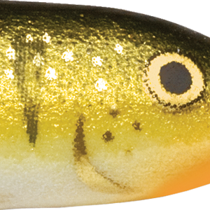 Glow Yellow Perch