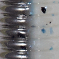 Goby