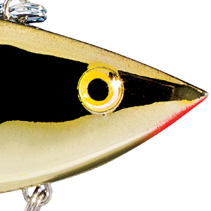 Gold Black Back