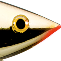 Gold Black Back