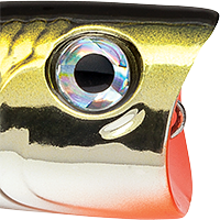 Gold Chrome
