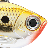 Gold Chrome