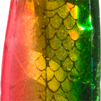 Golden Perch