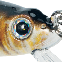 Golden Shiner