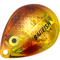 Golden Shiner