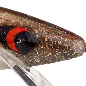 Golden Shiner