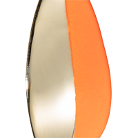 Gold Fluorescent Orange Stripe