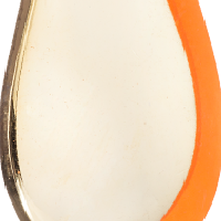 Gold Fluorescent Orange Stripe
