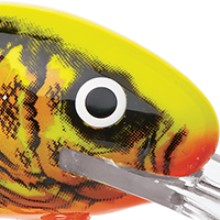 Gold Fluorescent Perch