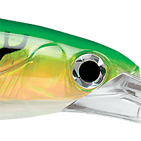 Gold Green Mackerel