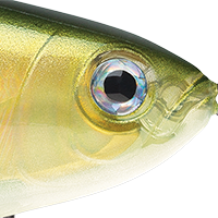 Gold Olive