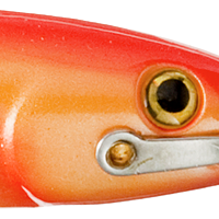 Gold Orange Back