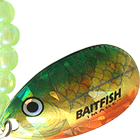 Gold Perch