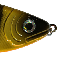 Gold Perch