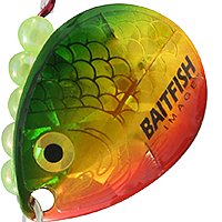 Gold Perch