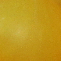 Gold Roe