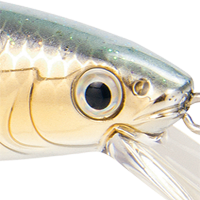 Gold Sexy Shad