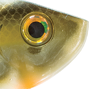 Gold Sexy Shad