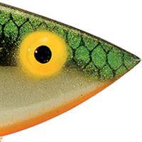 Gold Tennessee Shad