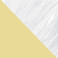 Gold/White Feather