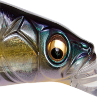 GP Megabass Sexy Shad