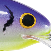 Grape Tiger