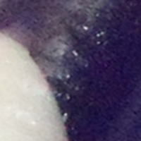 Grape/White Spots