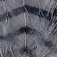 Gray/Black