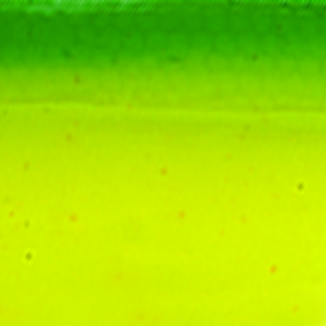 Green Chartreuse