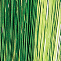 Green Chartreuse