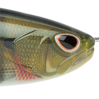 Green Gill