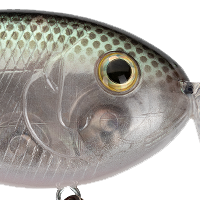 Green Gizzard