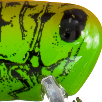 Green Grasshopper
