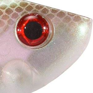 Green Gizzard Shad