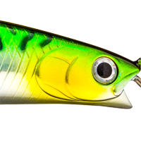 Green Mackerel