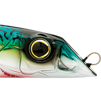Green Mackerel