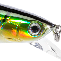 Green Mackerel