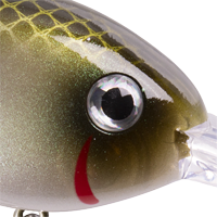 Green Pearl Shad