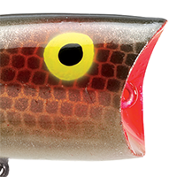 Green Perch G-Finish
