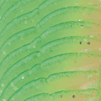 Green/Pink Double Glow Glitter