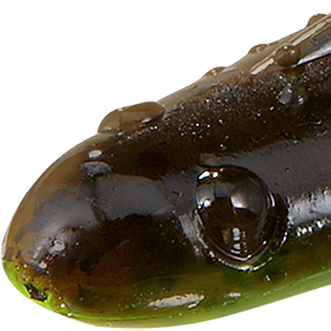 Green Pumpkin Chartreuse Belly