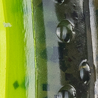 Green Pumpkin/Chartreuse Belly