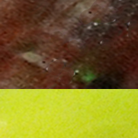 Green Pumpkin/Chartreuse Tail