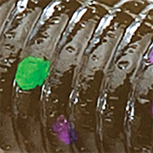 Grn Pumpkin/Green Purple Flk